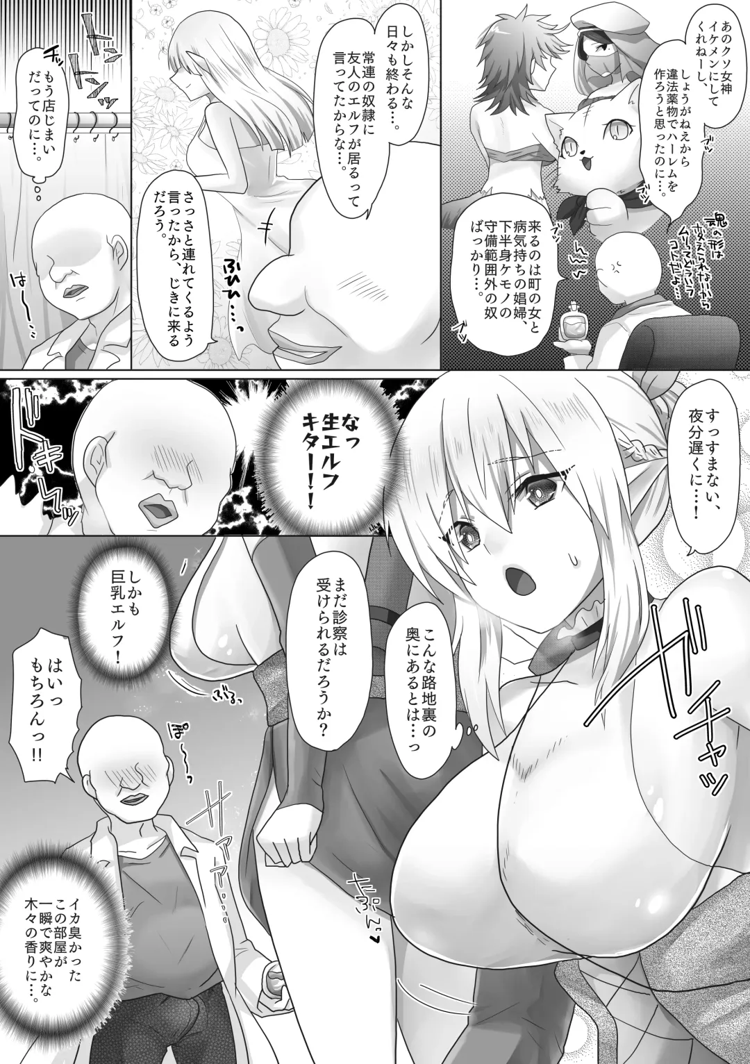 [Ashitaba Mofu] Funin Elf-san,  Isekai  Fujinka de Haramase Fhentai - Page 11