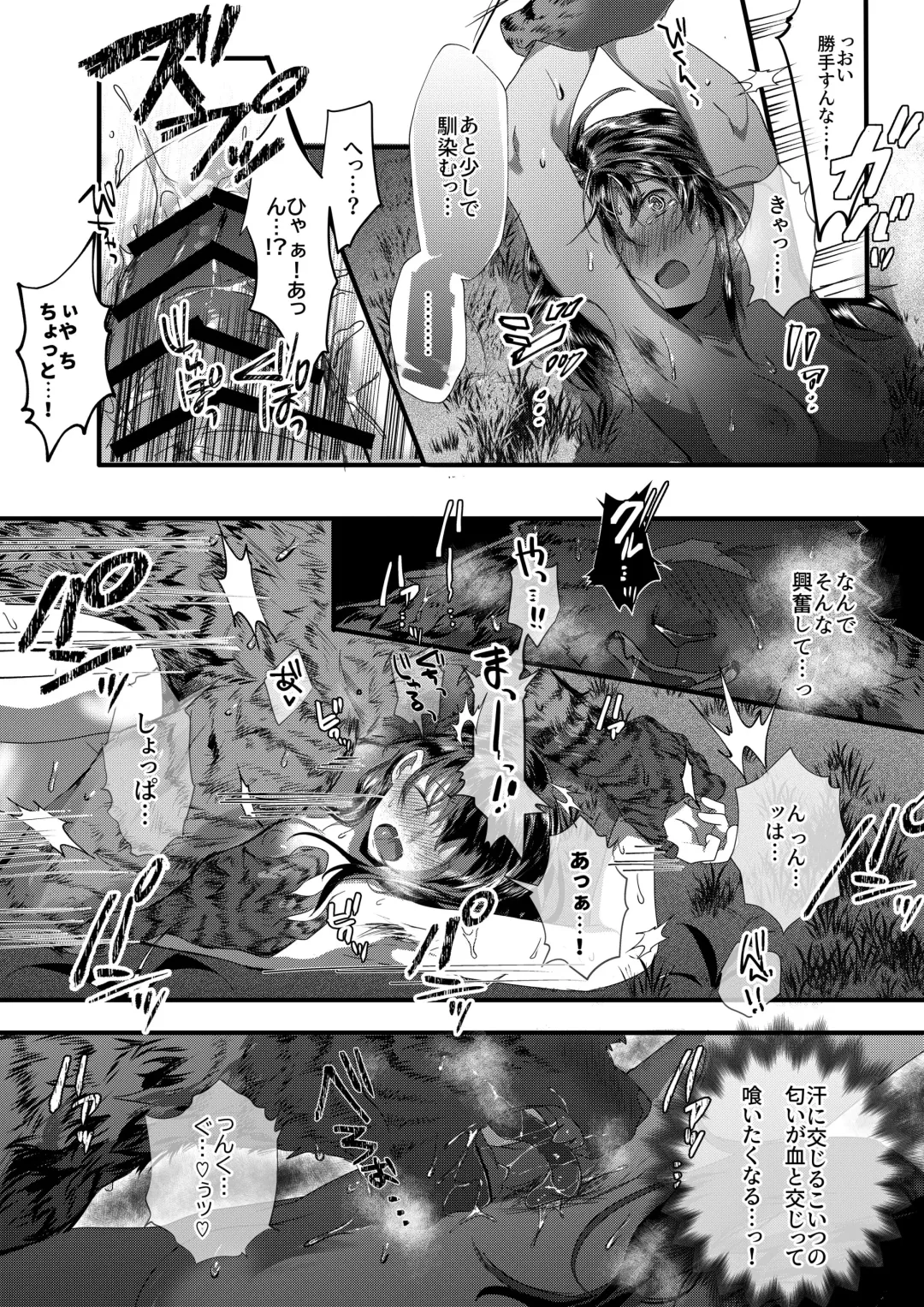 [Betsukusa] Tora ga Ningen to Asedaku Sex suru Hanashi Fhentai - Page 13