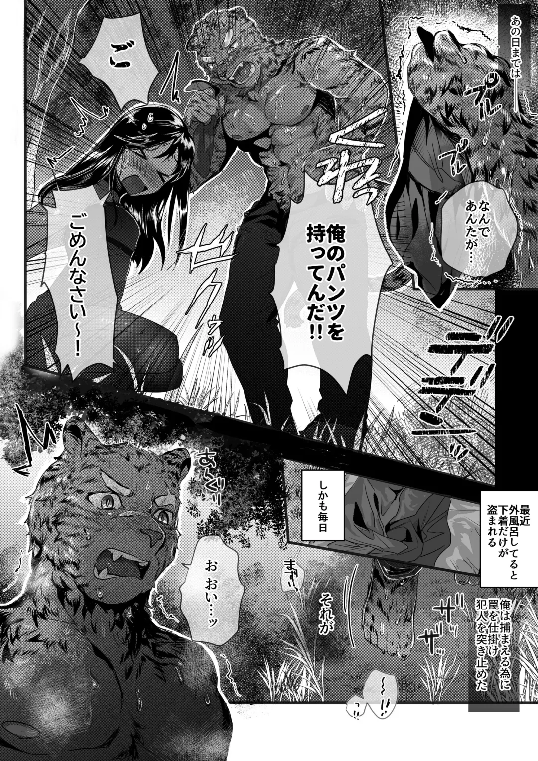 [Betsukusa] Tora ga Ningen to Asedaku Sex suru Hanashi Fhentai - Page 2