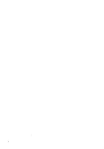 [Harako Meshi] Lotion Hachimaki Kyousei Shiofuki Kizetsu Zetchou Fhentai - Page 4