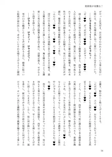 [Chin] 【例大祭20新刊】東方R-18小説本「発情狼が来襲る！」 Fhentai - Page 15