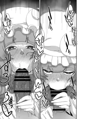 [Hanya] Touhou Meiko ~Patchouli Hen 2~ Fhentai - Page 10