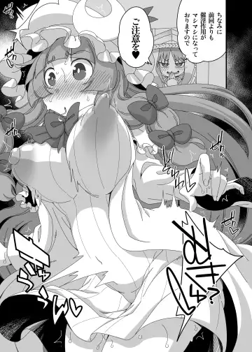 [Hanya] Touhou Meiko ~Patchouli Hen 2~ Fhentai - Page 6