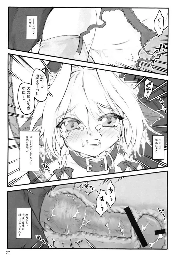 [Yaburebouki Akuta] Shoujo Ninshin Inu Sakuya Fhentai - Page 3