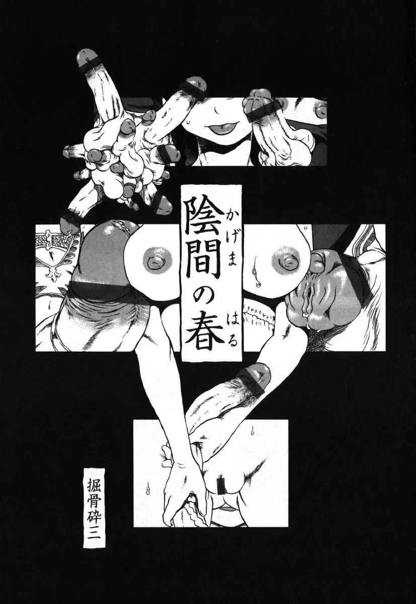 AYLA DELUXE Vol. 18 Fhentai - Page 8