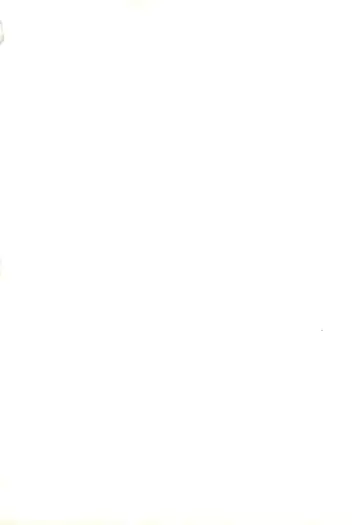 honey Fhentai - Page 2