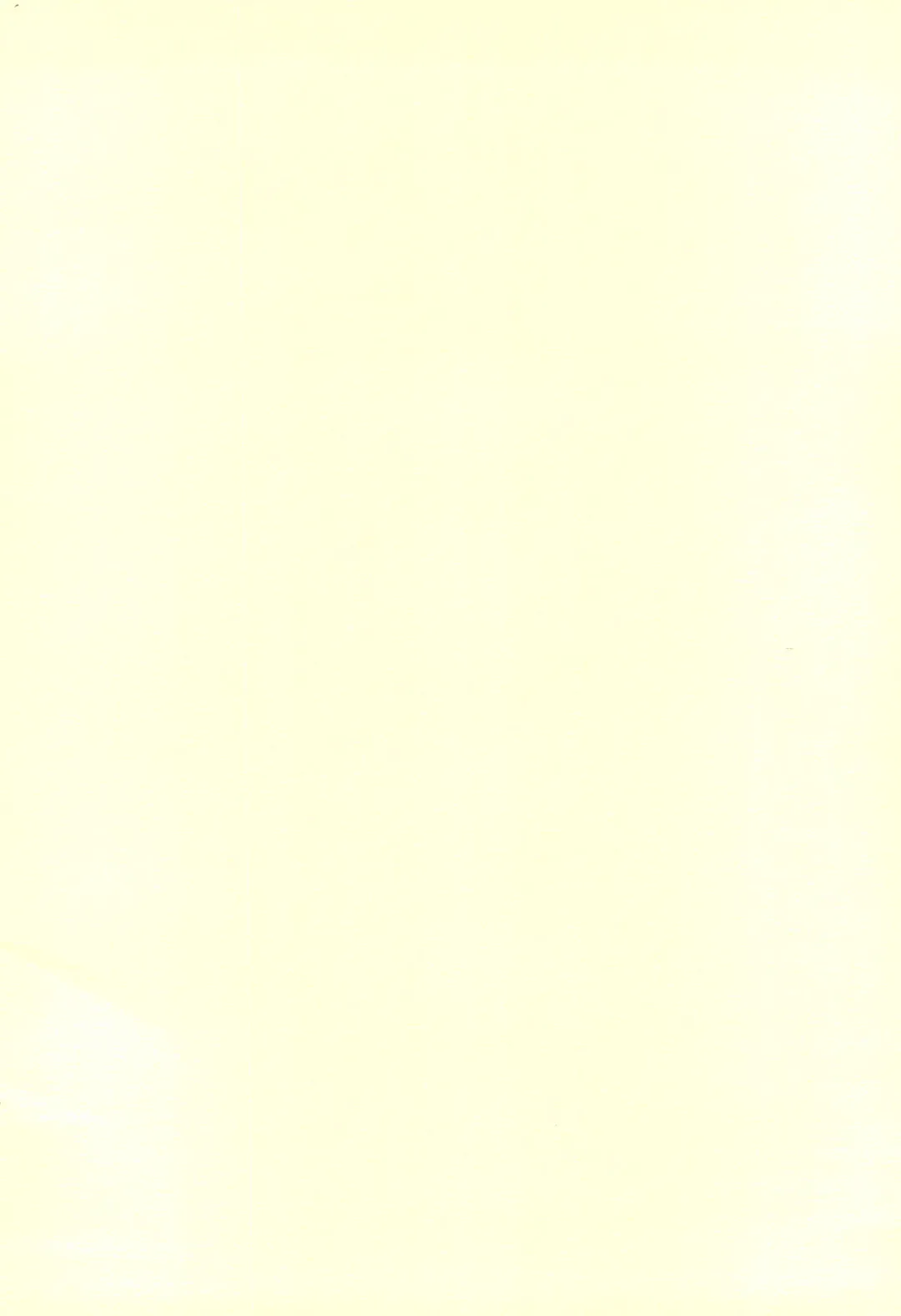 [Hafu] W-slot Musume Fhentai - Page 2