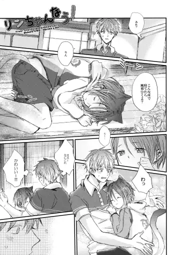 [Oshio] Rin-chan nau! Fhentai - Page 18