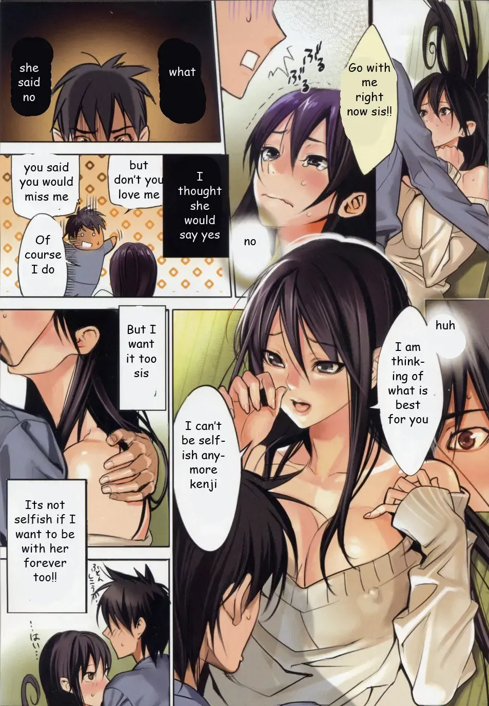 [Inkey] Last Time with Sis Fhentai - Page 3