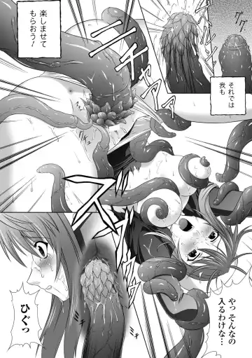 [Rindou] Ryoujoku no Rensa Fhentai - Page 14