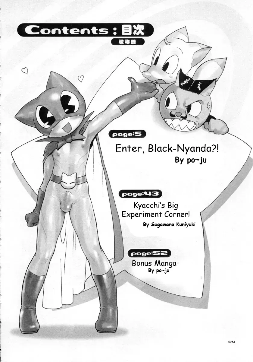 [Po-ju] Nyandaful Power! Fhentai - Page 3