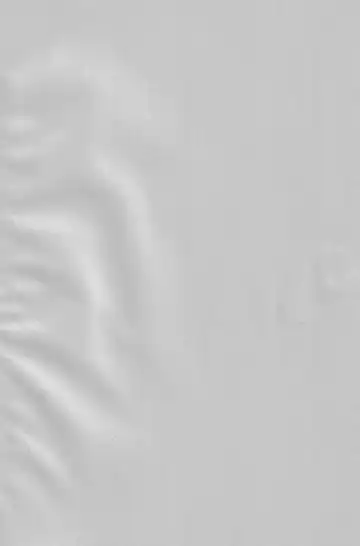 喪失 Fhentai - Page 2