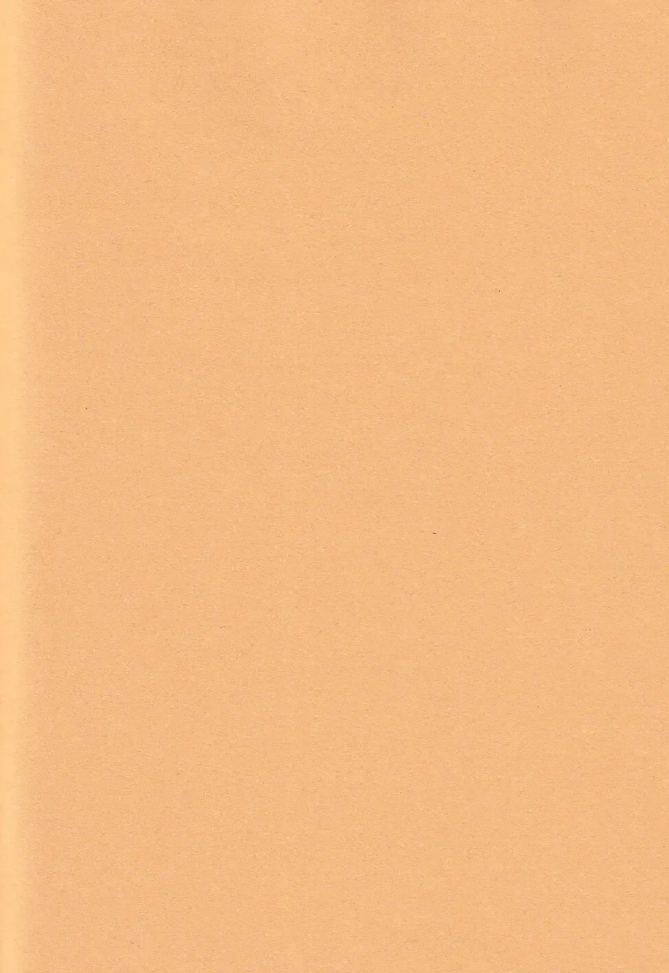 [Masuyama Tomaco] Tenko ni Itazura Suru Hon | 调戏天狐 Fhentai - Page 12