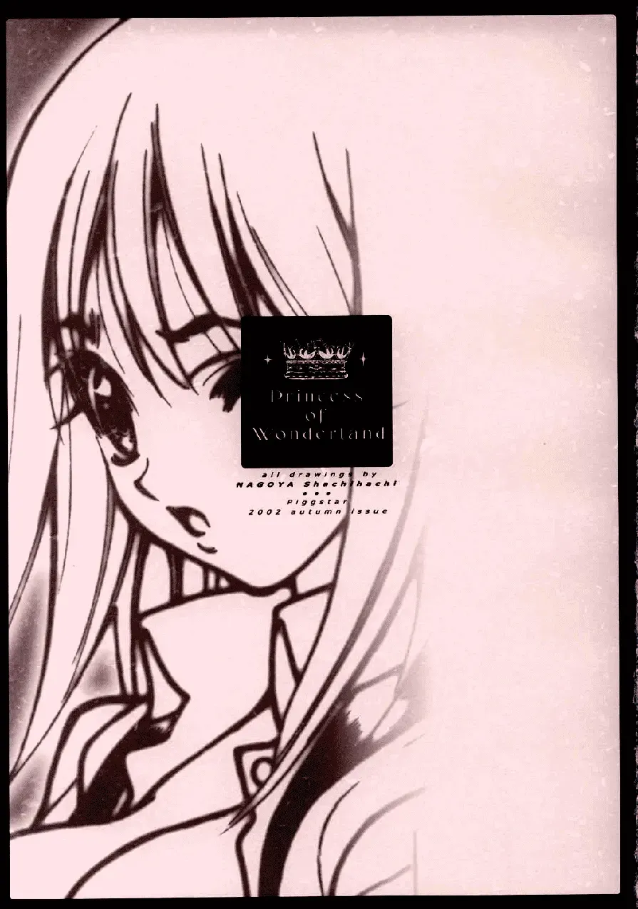 [Nagoya Shachihachi] Wonderland Princess - Princess of Wonderland Fhentai - Page 39