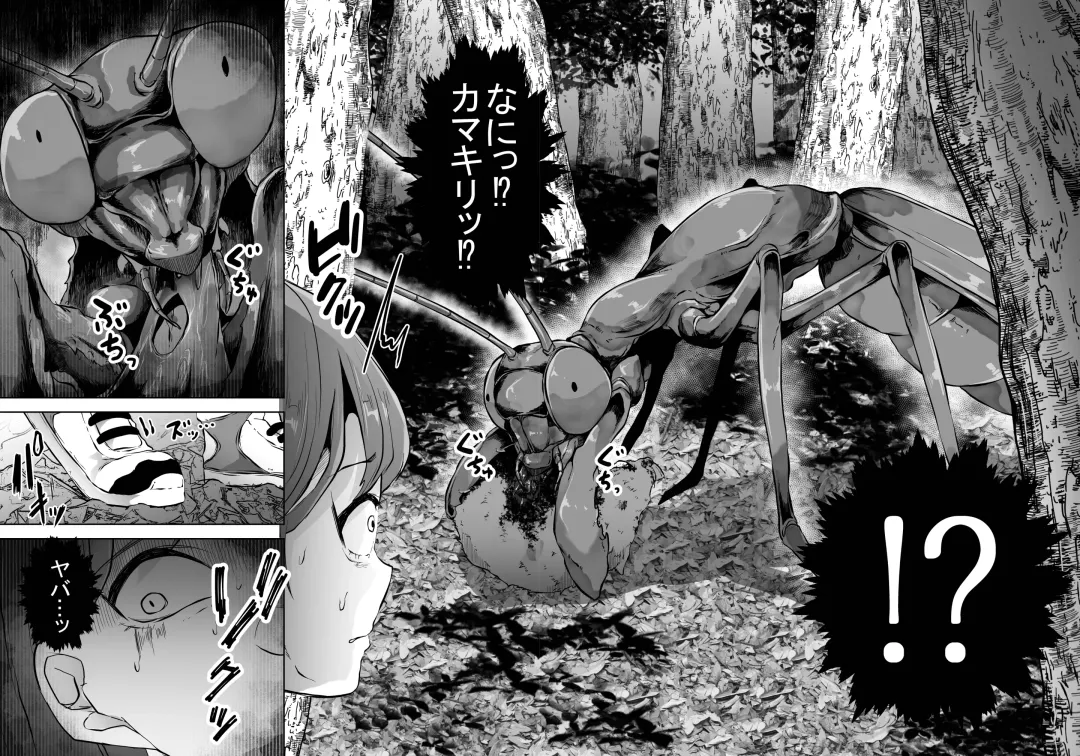 [Amano Teru] Kamakiri Kyouraku Fhentai - Page 25