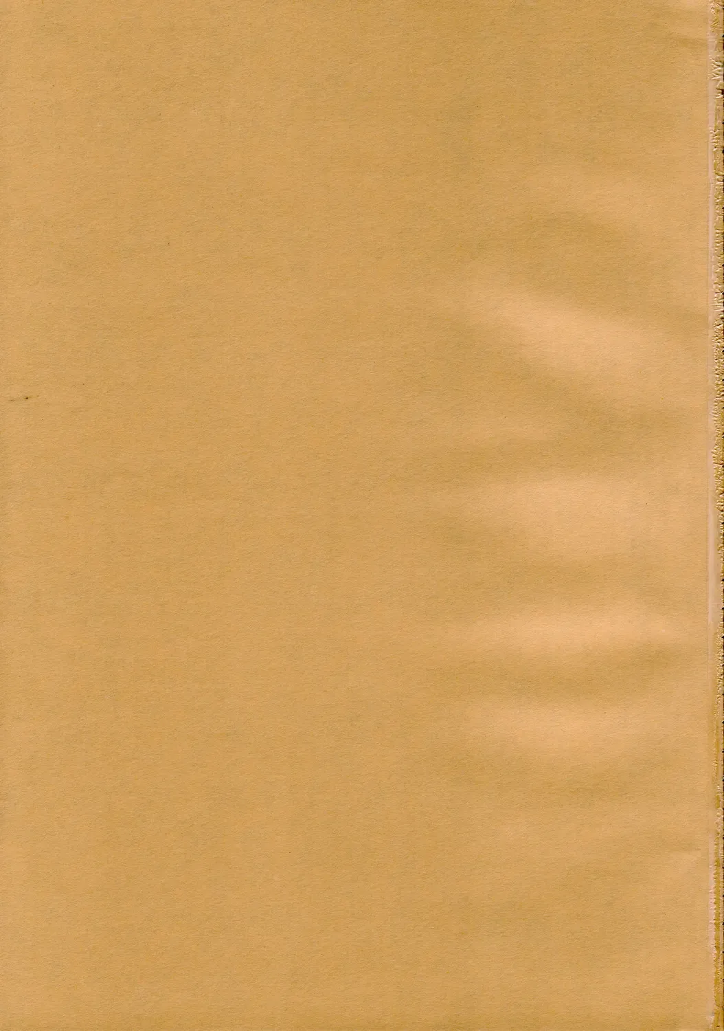 [Yoshinaga Eikichi] DiGital AngELs SIDE-D Fhentai - Page 2