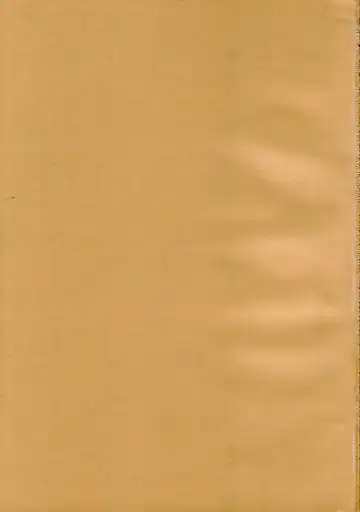 [Yoshinaga Eikichi] DiGital AngELs SIDE-D Fhentai - Page 2