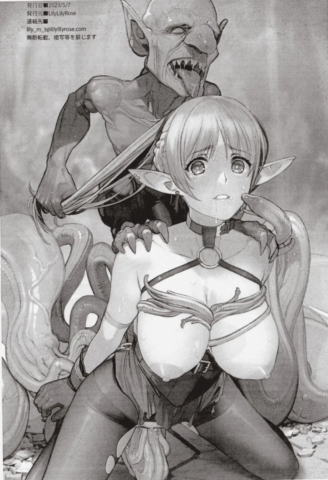 [Mibu Natsuki] ELFVS Fhentai - Page 11