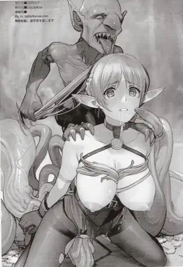 [Mibu Natsuki] ELFVS Fhentai - Page 11