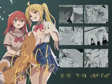 Read [Silver Dog] JimiHen Kariru ne - Fhentai