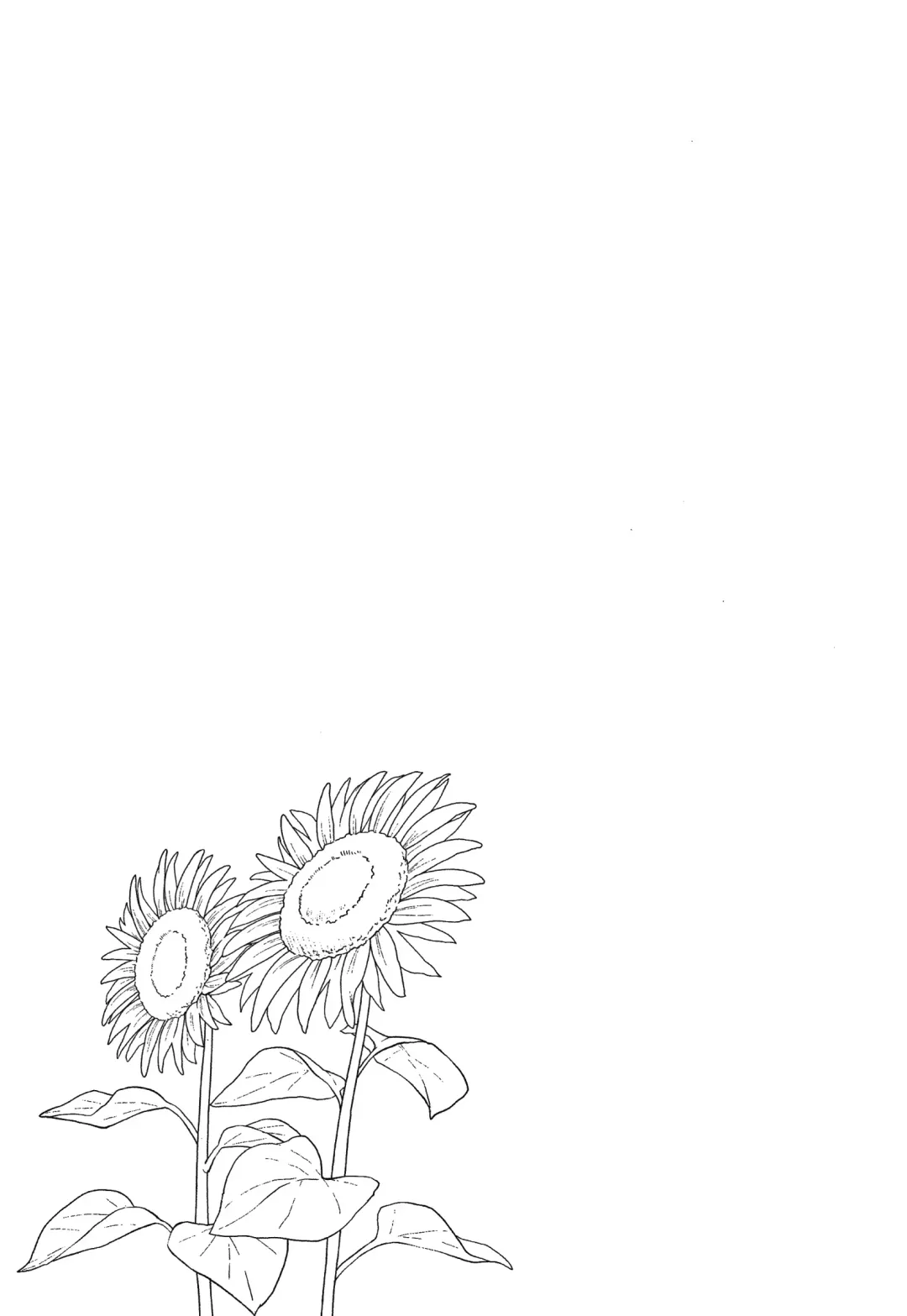 [Meganei] Shishunki no Obenkyou (decensored) Fhentai - Page 144