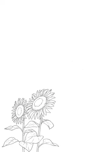 [Meganei] Shishunki no Obenkyou (decensored) Fhentai - Page 144