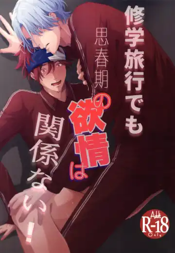 Read [Inaba] Shūgakuryokō demo shishunki no yokujō wa kankeinai! - Fhentai