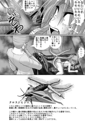 Chitsu Hakai-kei Joshi 6 Fhentai - Page 68