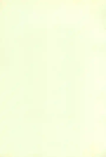 [C Arumeru] 5 Nen 1 Kumi Mahougumi 2 Fhentai - Page 3