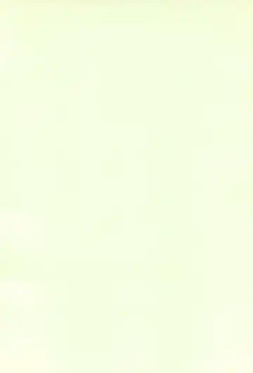 [C Arumeru] 5 Nen 1 Kumi Mahougumi 2 Fhentai - Page 4