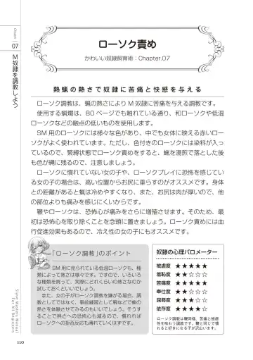 Zero kara Hajimeru SM Manual Kawaii Dorei Shiikujutsu Fhentai - Page 110