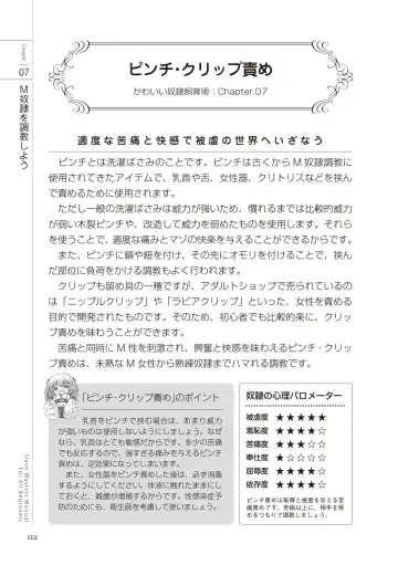 Zero kara Hajimeru SM Manual Kawaii Dorei Shiikujutsu Fhentai - Page 112