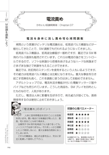 Zero kara Hajimeru SM Manual Kawaii Dorei Shiikujutsu Fhentai - Page 114