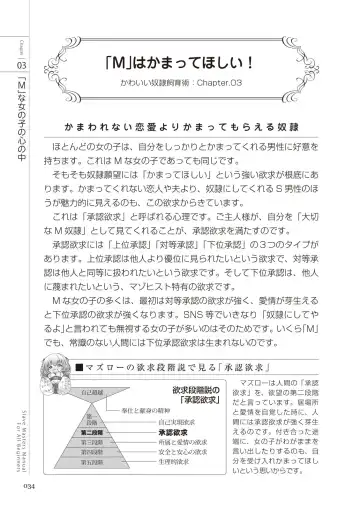 Zero kara Hajimeru SM Manual Kawaii Dorei Shiikujutsu Fhentai - Page 34