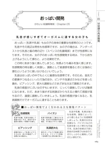 Zero kara Hajimeru SM Manual Kawaii Dorei Shiikujutsu Fhentai - Page 63