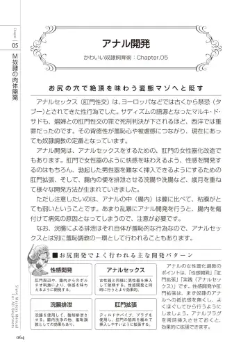 Zero kara Hajimeru SM Manual Kawaii Dorei Shiikujutsu Fhentai - Page 64