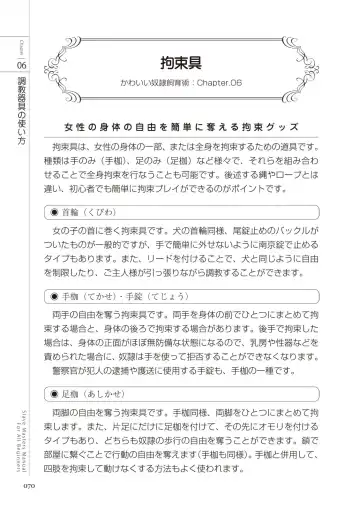 Zero kara Hajimeru SM Manual Kawaii Dorei Shiikujutsu Fhentai - Page 70