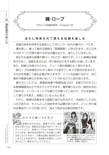Zero kara Hajimeru SM Manual Kawaii Dorei Shiikujutsu Fhentai - Page 74