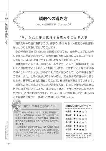 Zero kara Hajimeru SM Manual Kawaii Dorei Shiikujutsu Fhentai - Page 90