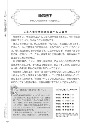 Zero kara Hajimeru SM Manual Kawaii Dorei Shiikujutsu Fhentai - Page 96