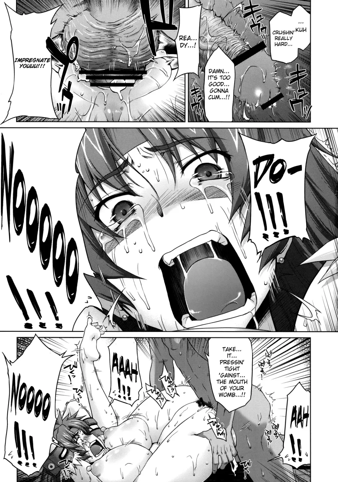 [Seura Isago] Risty-Rin ~Kanzenban~ Fhentai - Page 34
