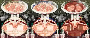 【コミ】炎のMブレム プリン母乳で無様注入！？ Fhentai - Page 2