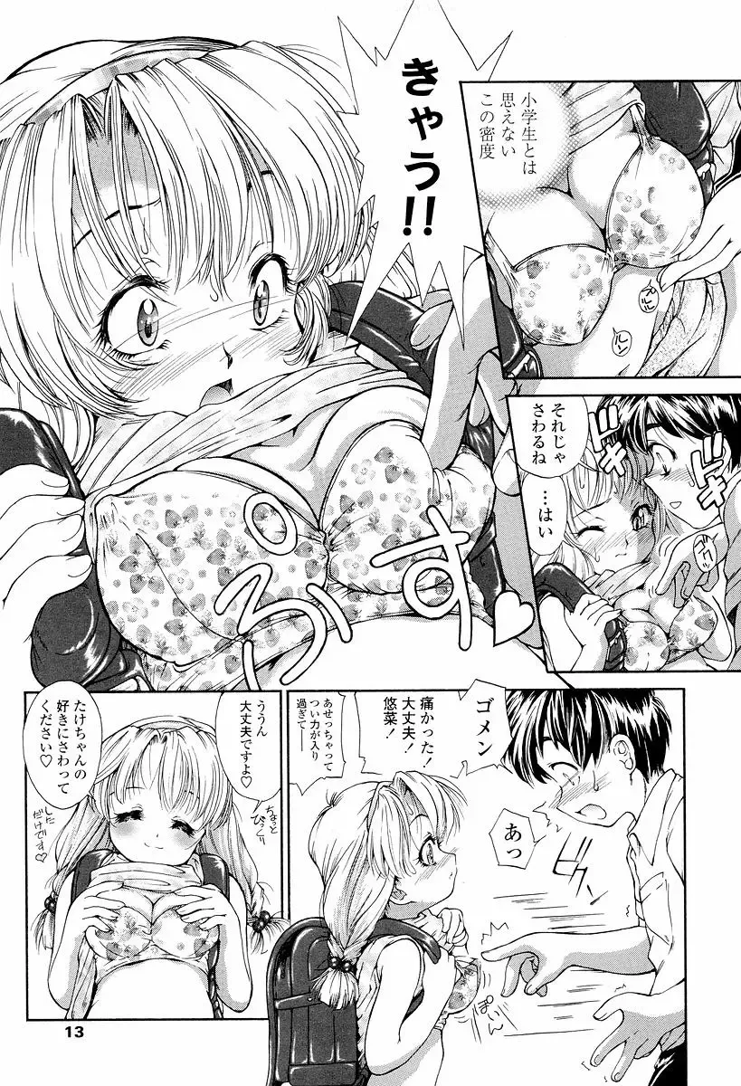 [Hokama Mitsuri] Sodattyauzo Fhentai - Page 14