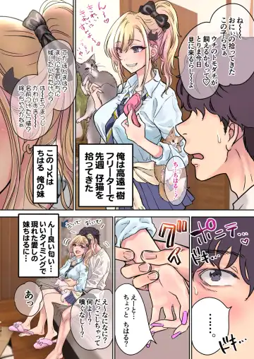 [Shimao Kazu] Tsuyokawa Imouto x Kyousei Love Koubi 4 Fhentai - Page 14