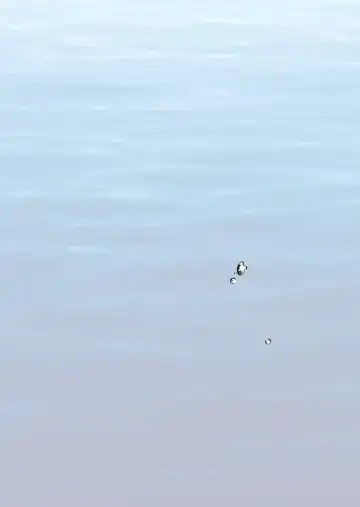 [Citron] Shounen ga Netorareru Hanashi Fhentai - Page 44