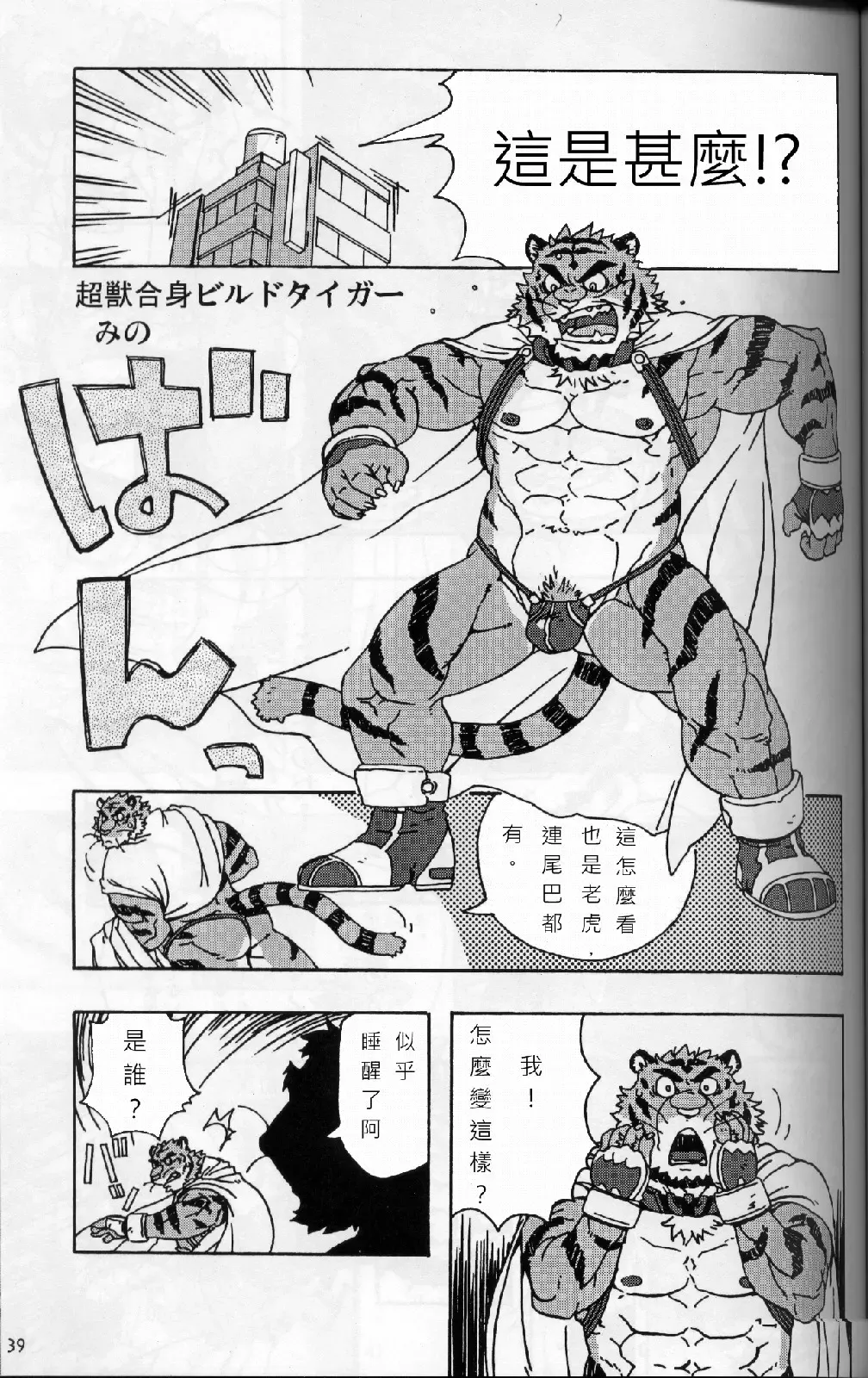 [Gamma] Choujuu Gasshin Build Tiger Fhentai - Page 2