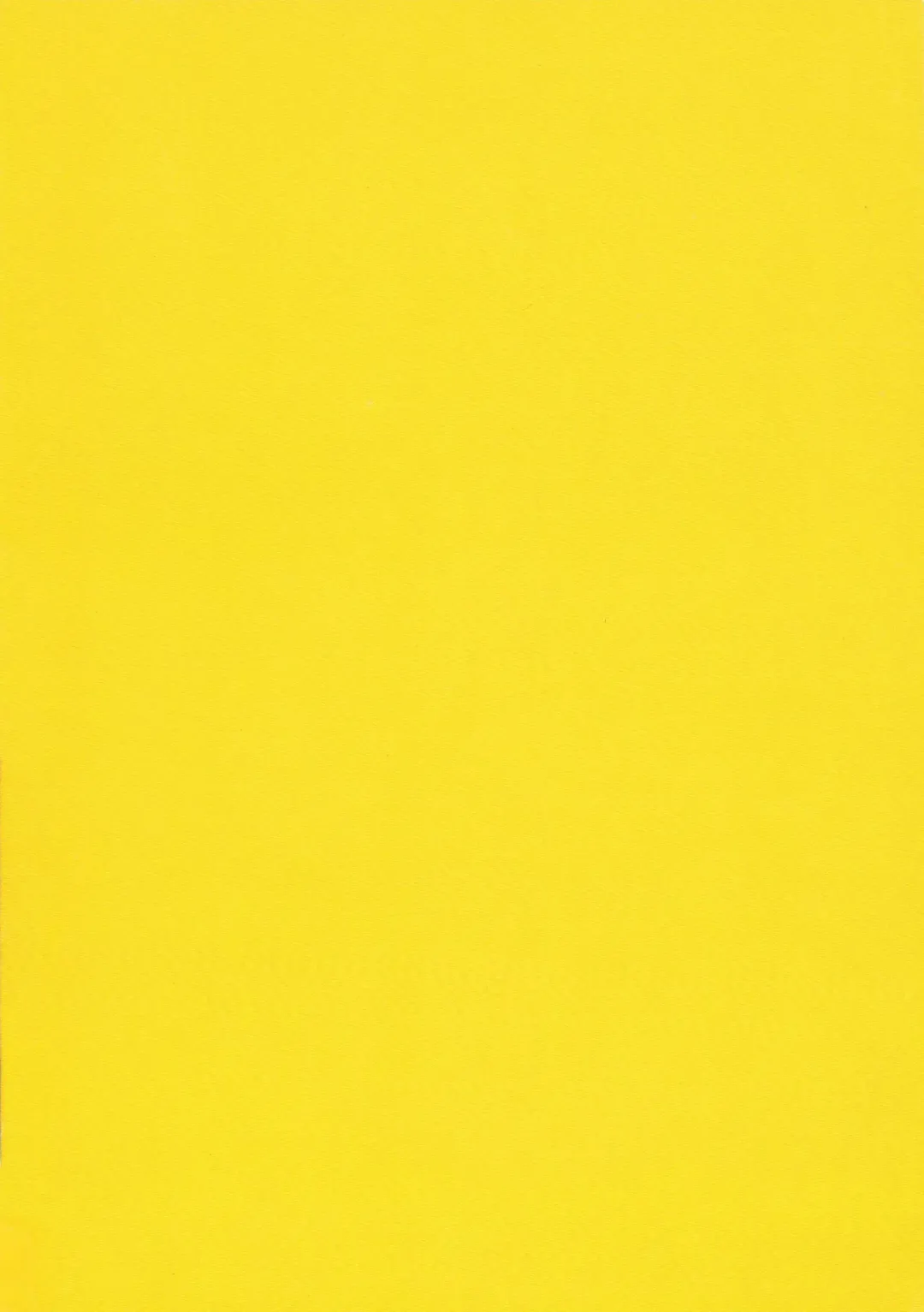 [Amd] Airu Monhun Dream Fhentai - Page 34