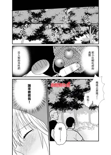 [Miduki Amane] Tensei Akazukin wa  Jinrou ni Kyouai  Sareru | 转生小红帽被狼人疯狂疼爱 Fhentai - Page 14