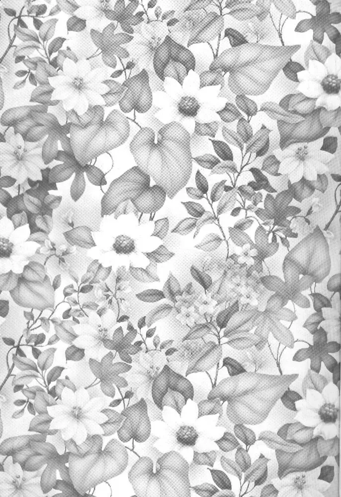 [Miyashita Miki] CARDCAPTOR SAKURACHANG! Fhentai - Page 2