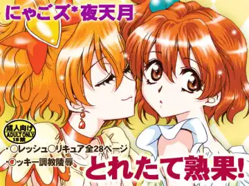 [Yatengetu] Toretate Jukuka! Fhentai - Page 34